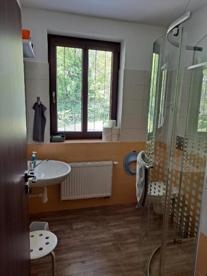 Penzion Na Pohori Olešnice Extérieur photo