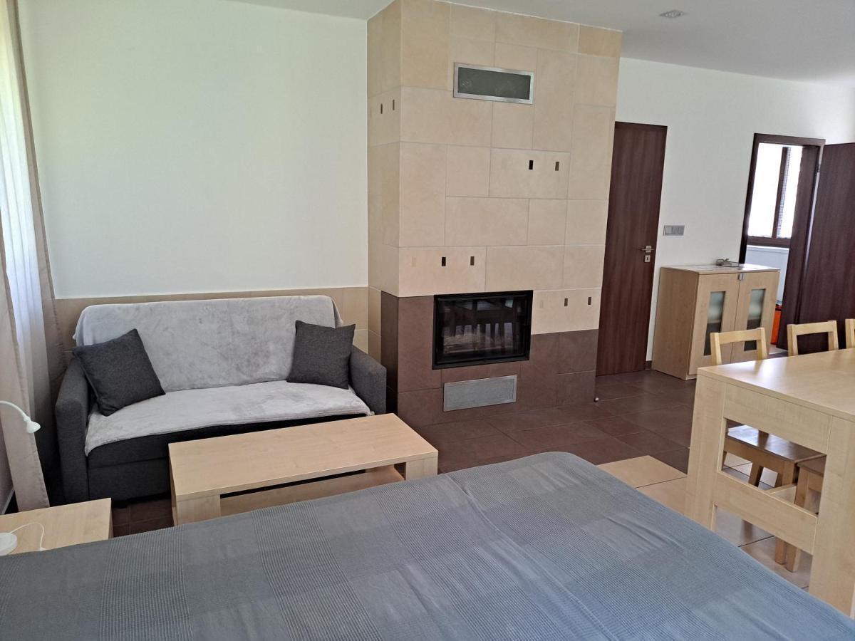 Penzion Na Pohori Olešnice Extérieur photo